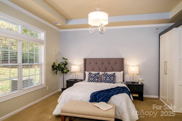 bedroom with a raised ceiling, multiple windows, and carpet