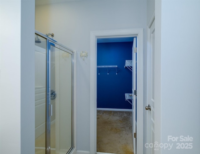 bathroom featuring a shower with shower door