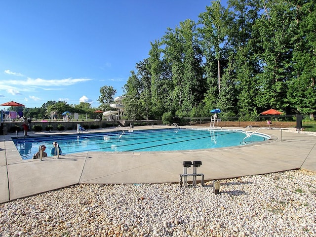 view of swimming pool featuring a patio area