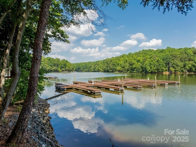 view of dock featuring a water view