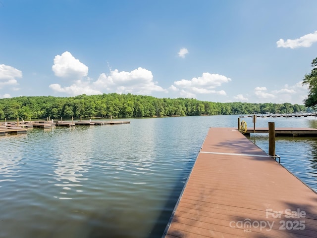 view of dock featuring a water view