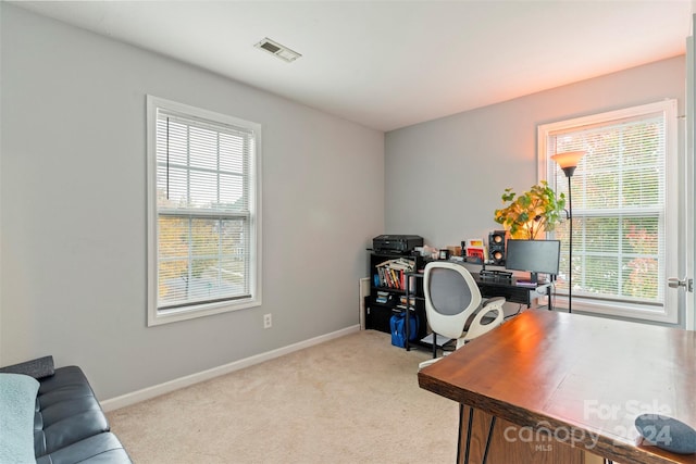 carpeted office featuring a healthy amount of sunlight