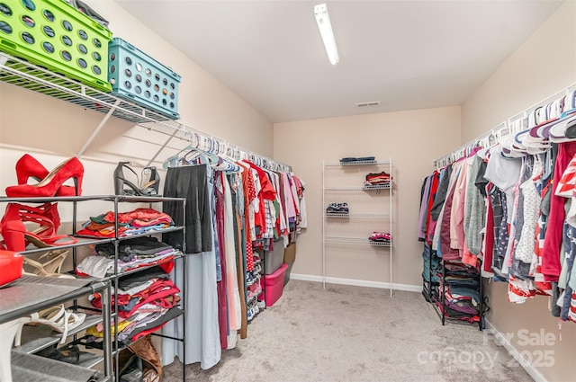 walk in closet with carpet