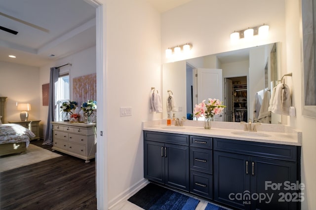 bathroom featuring a raised ceiling, hardwood / wood-style flooring, and vanity