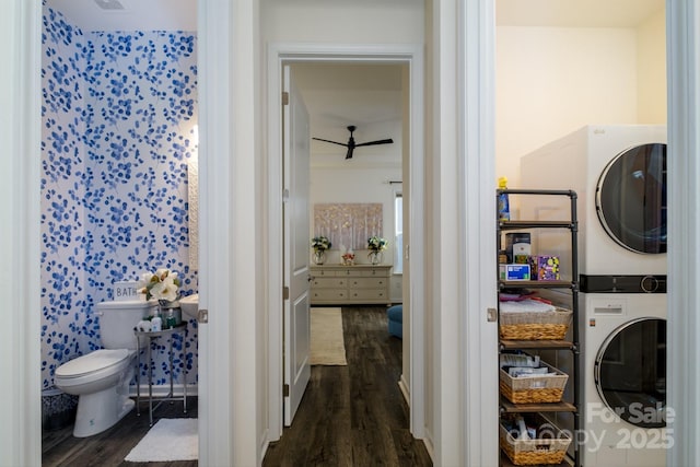 laundry area with dark hardwood / wood-style floors and stacked washer and dryer