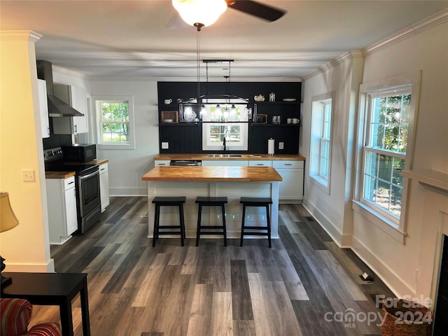 kitchen with wooden counters, appliances with stainless steel finishes, a healthy amount of sunlight, and white cabinetry