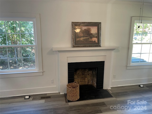 details with crown molding and wood-type flooring