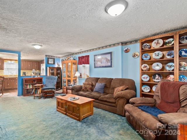 24 Palatka St, Arden, NC 28704 - carpeted living room featuring a textured ceiling and a sink