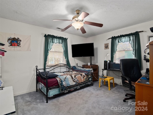 24 Palatka St, Arden, NC 28704 - carpeted bedroom featuring multiple windows, a textured ceiling, a desk, and a ceiling fan