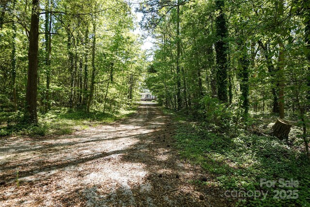 view of dirt / gravel road with a wooded view