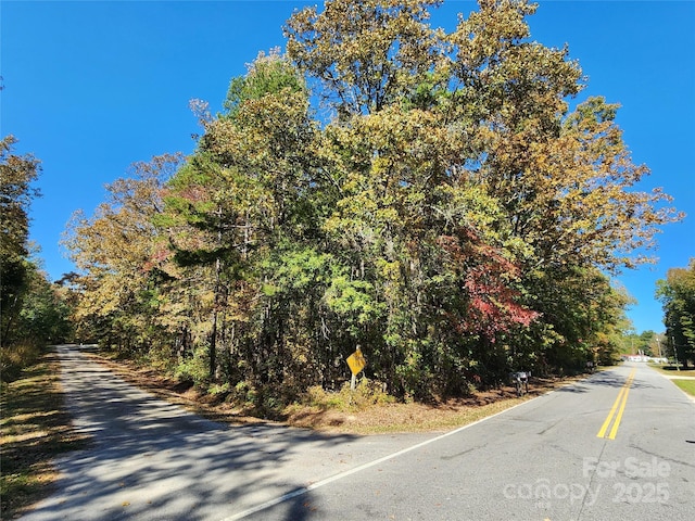1062 Full Count Ln, Lancaster, SC 29720 - view of asphalt road