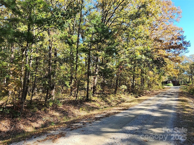 1062 Full Count Ln, Lancaster, SC 29720 - view of road