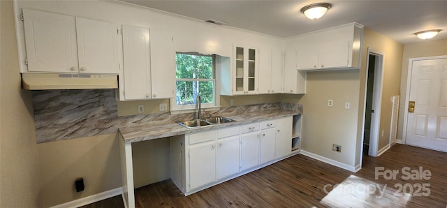 1062 Full Count Ln, Lancaster, SC 29720 - kitchen featuring a sink, under cabinet range hood, white cabinetry, dark wood finished floors, and light countertops