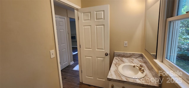 1062 Full Count Ln, Lancaster, SC 29720 - bathroom featuring a sink and wood finished floors
