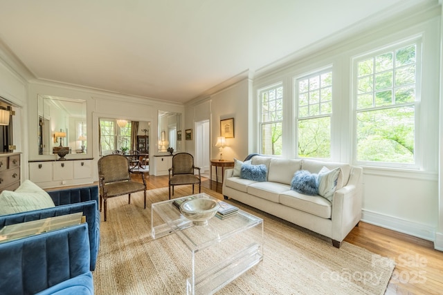 living room featuring ornamental molding, baseboards, and wood finished floors