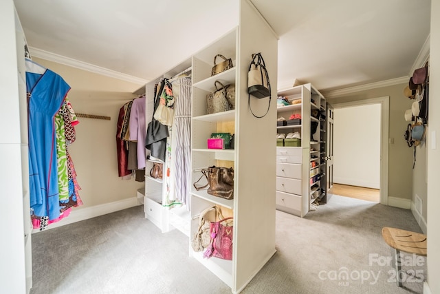 walk in closet with carpet