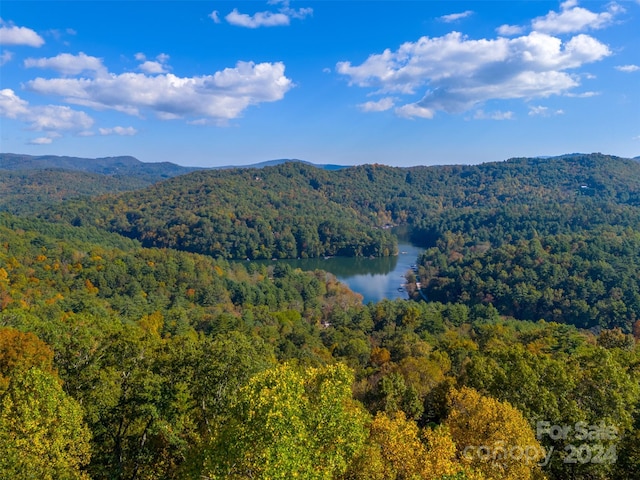 9583 Cullowhee Mountain Rd, Cullowhee NC, 28723 land for sale