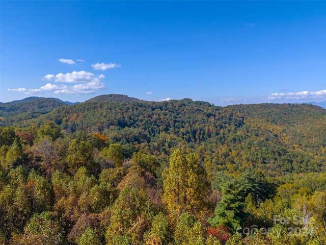 Listing photo 2 for 9583 Cullowhee Mountain Rd, Cullowhee NC 28723