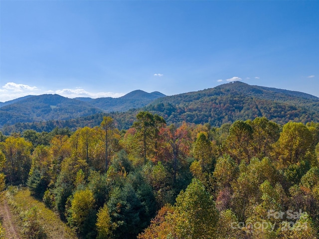 Listing photo 3 for 9583 Cullowhee Mountain Rd, Cullowhee NC 28723