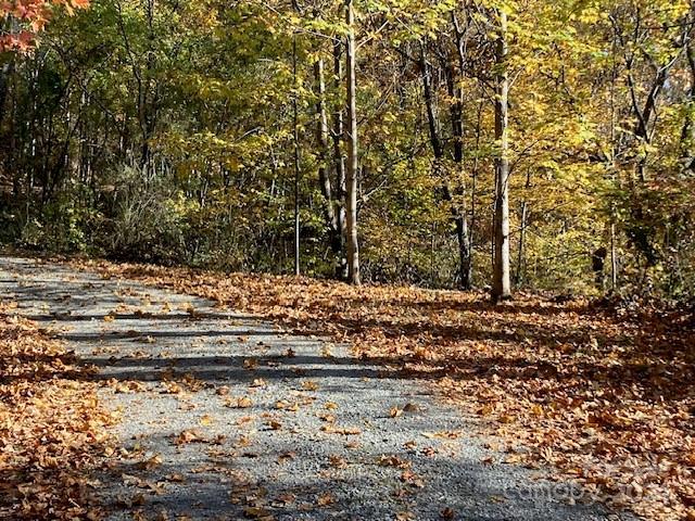00 Wahwah Way Unit 17, Waynesville, NC 28785 - photo 2