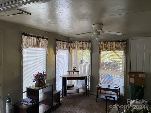 interior space with carpet and ceiling fan