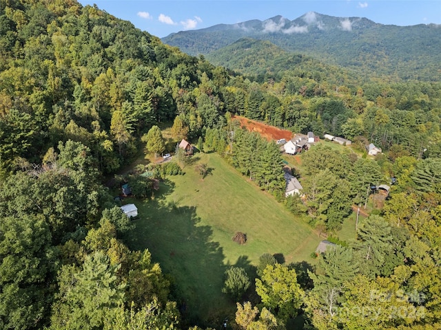 aerial view with a mountain view