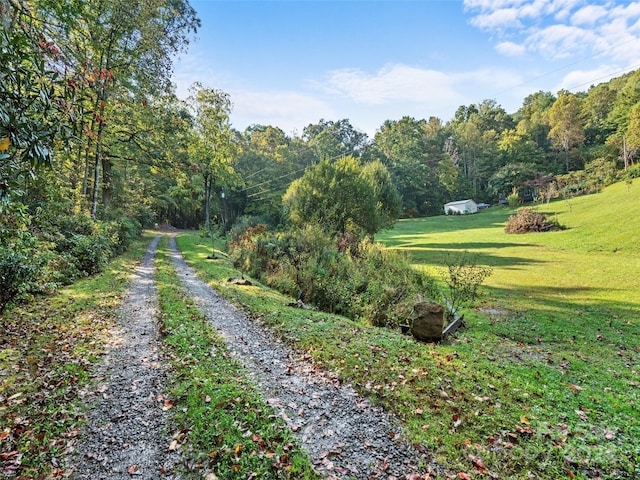 view of home's community featuring a yard