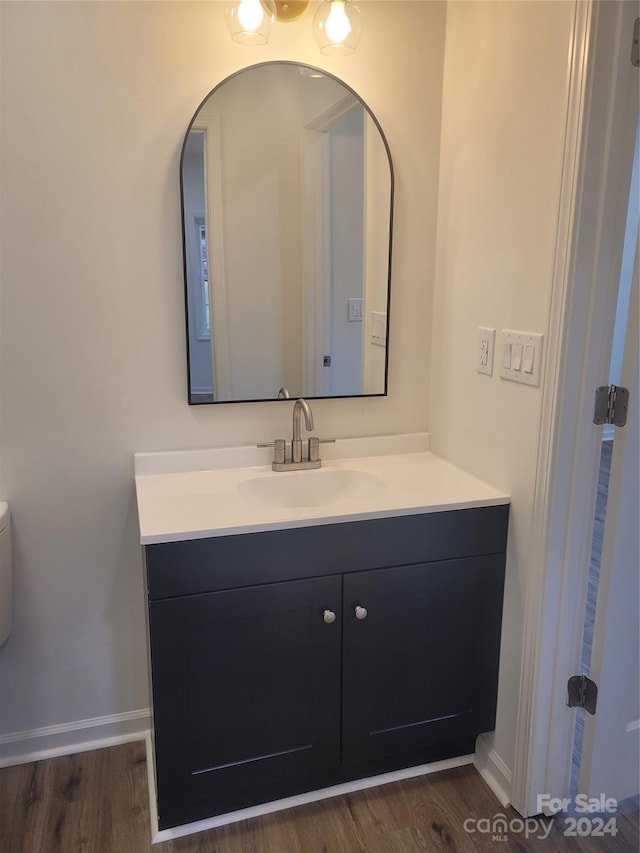 bathroom with vanity and wood-type flooring