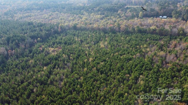 2351 Reges Store Rd, Nashville, NC 27856 - photo 9