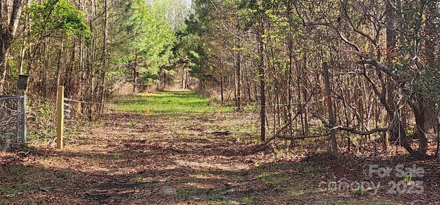 2351 Reges Store Rd, Nashville, NC 27856 - photo 13