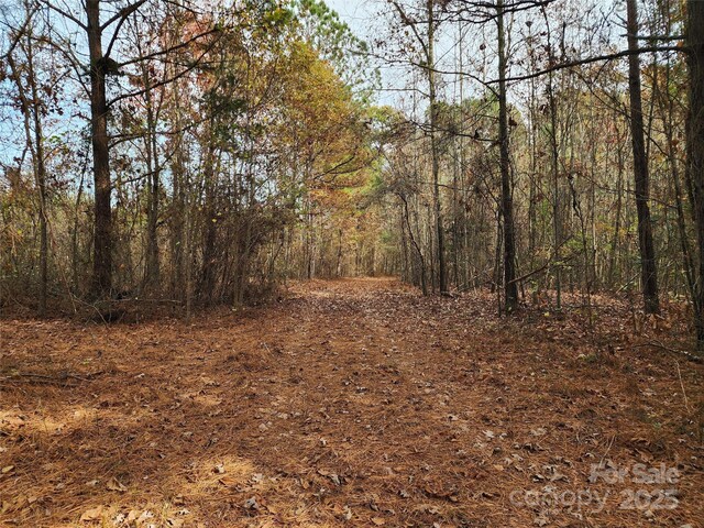 2351 Reges Store Rd, Nashville, NC 27856 - photo 15