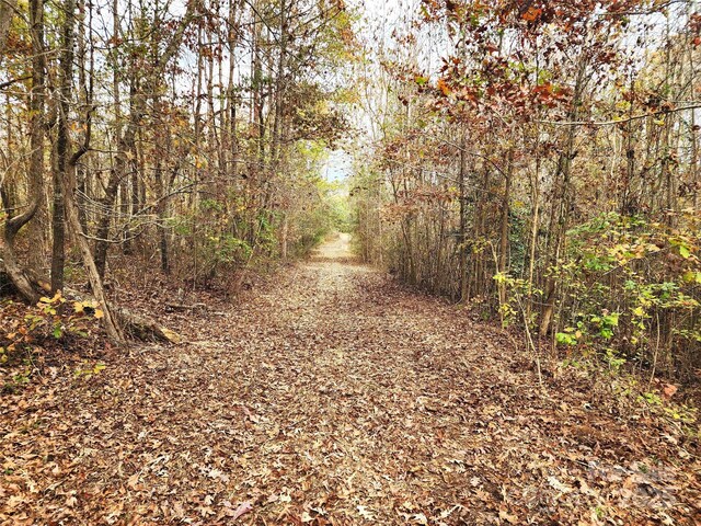 2351 Reges Store Rd, Nashville, NC 27856 - photo 16