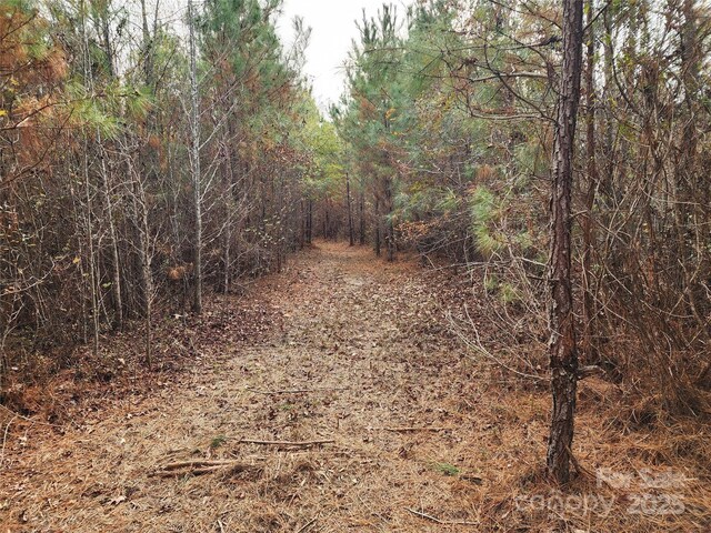 2351 Reges Store Rd, Nashville, NC 27856 - photo 17