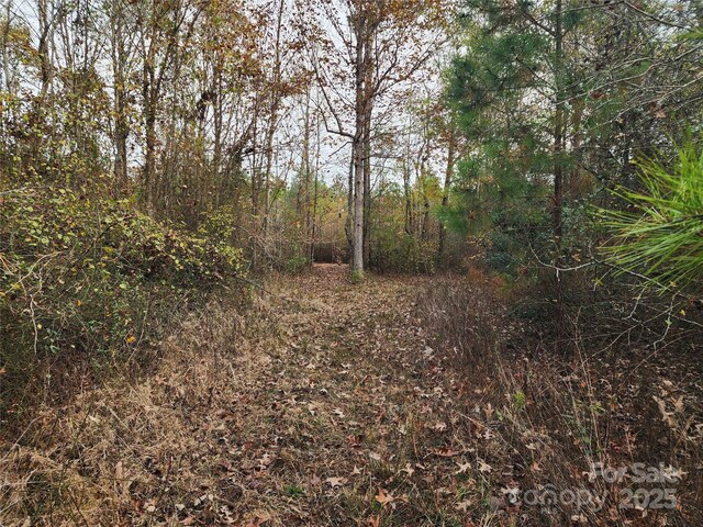 2351 Reges Store Rd, Nashville, NC 27856 - photo 20