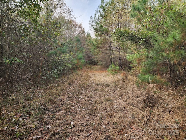 2351 Reges Store Rd, Nashville, NC 27856 - photo 21