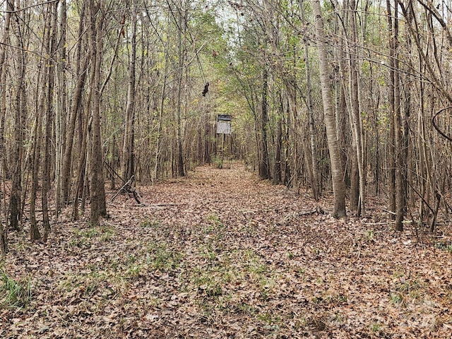2351 Reges Store Rd, Nashville, NC 27856 - photo 23