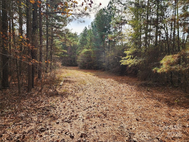 2351 Reges Store Rd, Nashville, NC 27856 - photo 24