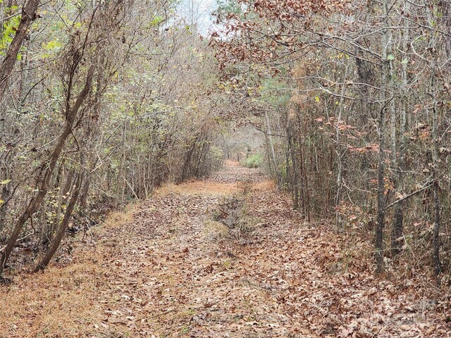 2351 Reges Store Rd, Nashville, NC 27856 - photo 25