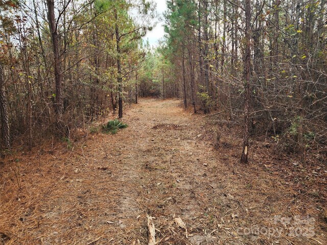 2351 Reges Store Rd, Nashville, NC 27856 - photo 26