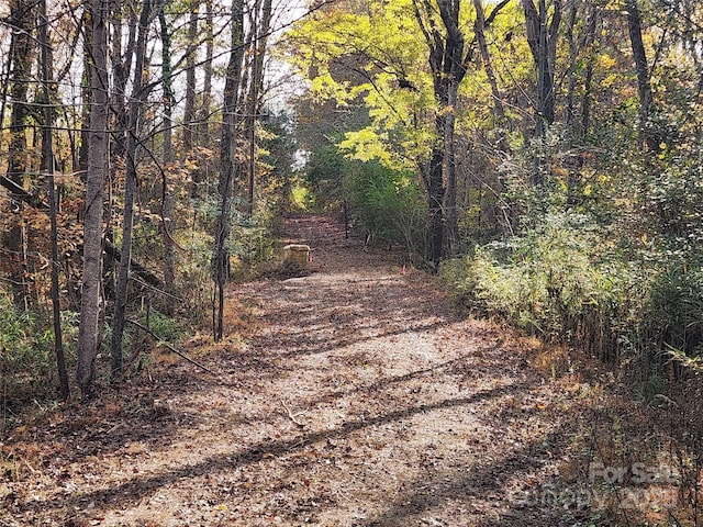 2351 Reges Store Rd, Nashville, NC 27856 - photo 27