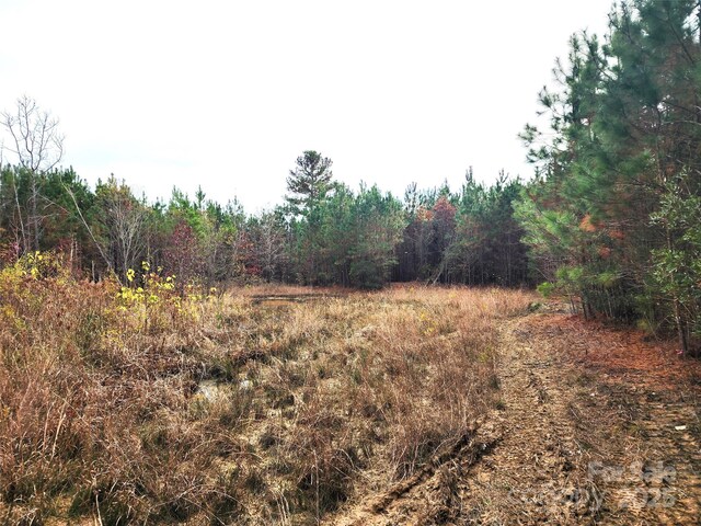 2351 Reges Store Rd, Nashville, NC 27856 - photo 28