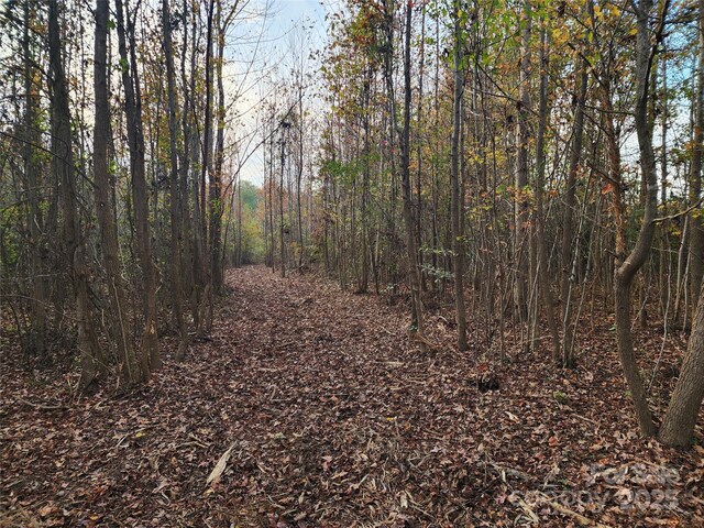 2351 Reges Store Rd, Nashville, NC 27856 - photo 29