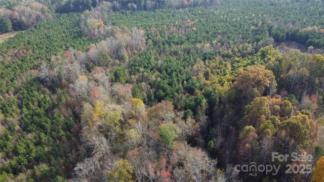 2351 Reges Store Rd, Nashville, NC 27856 - photo 3