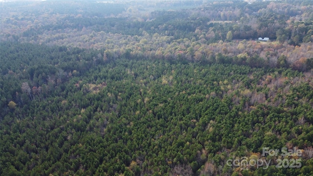 2351 Reges Store Rd, Nashville, NC 27856 - photo 32