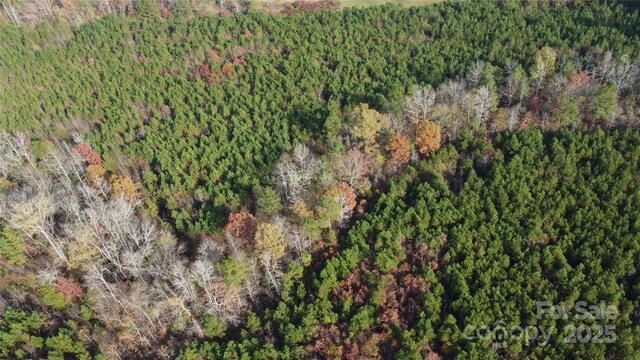2351 Reges Store Rd, Nashville, NC 27856 - photo 33