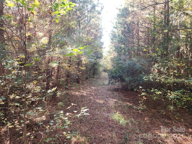 2351 Reges Store Rd, Nashville, NC 27856 - photo 41