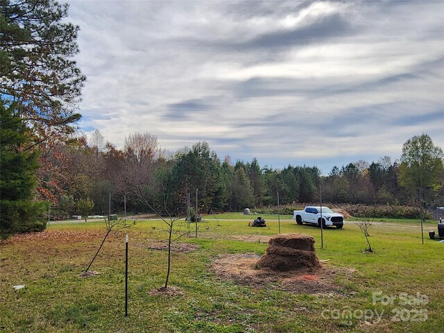 2351 Reges Store Rd, Nashville, NC 27856 - photo 42