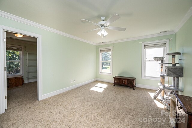 carpeted empty room featuring ornamental molding, plenty of natural light, and ceiling fan