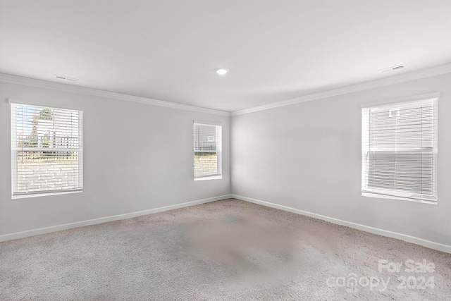 empty room featuring ornamental molding, carpet floors, and plenty of natural light