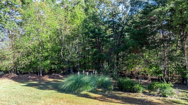 Listing photo 3 for 0000 Harris Ave NW, Valdese NC 28690